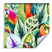 Tapeta Tropikalne Liście Egzotyczne Ptaki Tukany Papugi