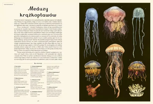 Muzeum Oceanu. Oceanarium na Arena.pl