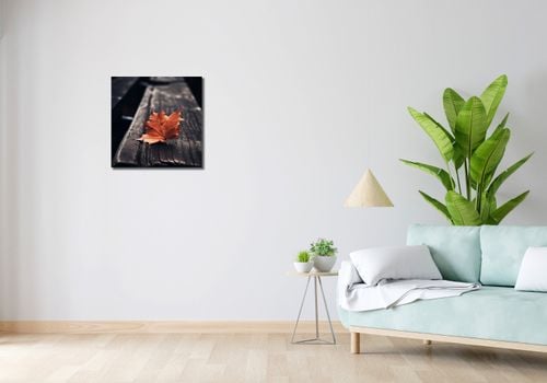 Obraz 50x50cm Pojedynczy Liść na Arena.pl