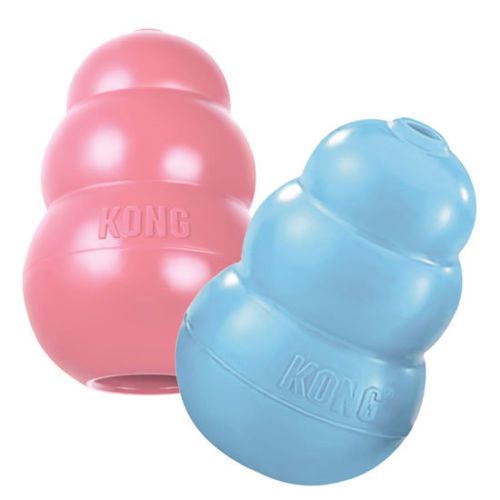 Kong Puppy M na Arena.pl