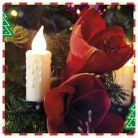 Lampki choinkowe ciepłe białe świeczki 30 LED 11,6M Dekoracja RETRO RPL