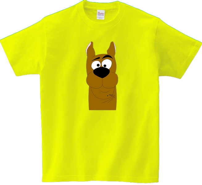 Koszulka T-shirt Scoobie Doo zdjęcie 1