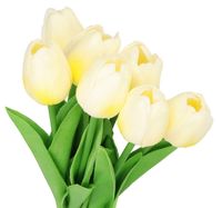 TULIPANY BUKIET TULIPANÓW GUMOWANE GUMOWE SILIKONOWE JAK ŻYWE