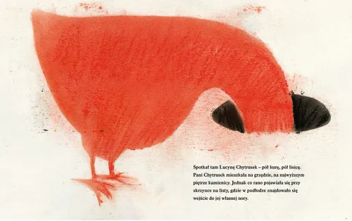 Amadeusz Foczka (ale z głową bobra) na Arena.pl