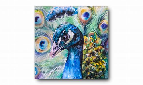 OBRAZ NA PŁÓTNIE 081 Paw 70x70cm na Arena.pl