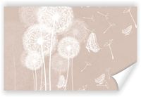 Fototapeta PREMIUM STRUKTURA ZMYWALANA NA WYMIAR dmuchawce na beżowym tle