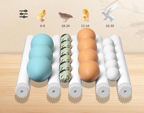 UŻYWANE/NIEKOMPLETNY Inkubator automatycznydo jaj Chalixion FT16 na Arena.pl