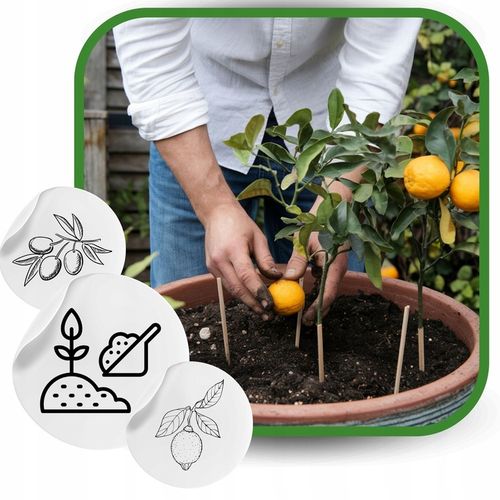 BIO Podłoże do Cytrusów 20l EKO Ziemia Oliwki Mango Awokado na Arena.pl