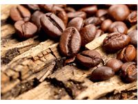 OBRAZ DRUK ZIARNISTA KAWA BARISTY