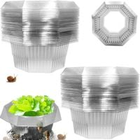 Obroże Przeciw Ślimakom 20 Sztuk 24 cm Przezroczyste Plastikowe Zestaw