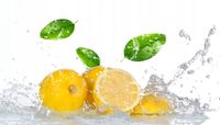 FOTOTAPETA kuchenna CYTRYNY W WODZIE 380x256