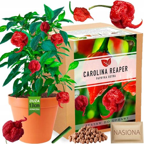 Papryka Carolina Reaper HP22B Red nasiona Zestaw do uprawy XXL Bardzo Ostra na Arena.pl