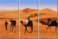 60 90CM OBRAZ 3 ELEM PODRÓŻ PO PUSTYNI DRUK PŁÓTNO RAMA