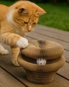 Zolux Chatouille Drapka Tekturowa Składana Łapka Z Piłką I Kocimiętką