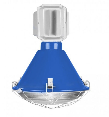 Lampa Sroka połysk niebieska D2 na Arena.pl