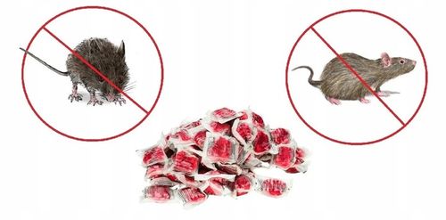 ZESTAW DO DERATYZACJI STACJA TRUTKA MYSZY SZCZURY na Arena.pl