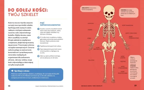 Ciało człowieka. Przewodnik dla dzieci, które chcą poznać swoje ciało na Arena.pl