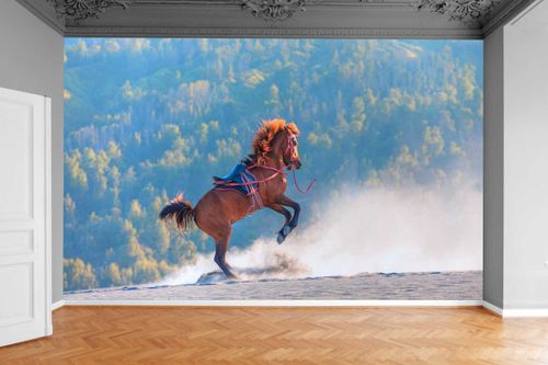 Fototapeta CZERWONY KOŃ NA PUSTYNI LAS 300x210 na Arena.pl