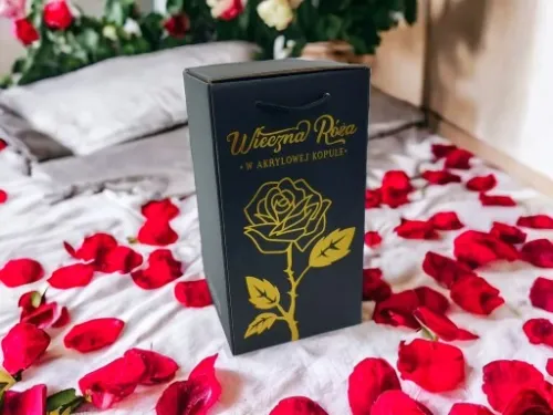 WIECZNA RÓŻA W SZKLE W KOPULE ŚWIECĄCA NA WALENTYNKI LED PREZENT PUDEŁKO na Arena.pl