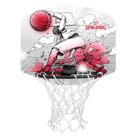 Obręcz do Kosza Koszykówki z Tablicą SPALDING Sketch MicroMini