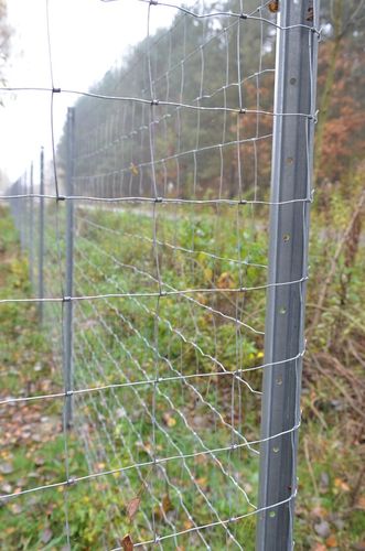 SIATKA LEŚNA OGRODZENIOWA 120/9/30 L 50m + GRATIS na Arena.pl