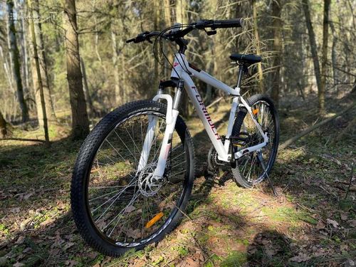 ROWER GÓRSKI MTB 29 CALI SHIMANO 21 BIEGÓW HAMULCE TARCZOWE RAMA 19" na Arena.pl