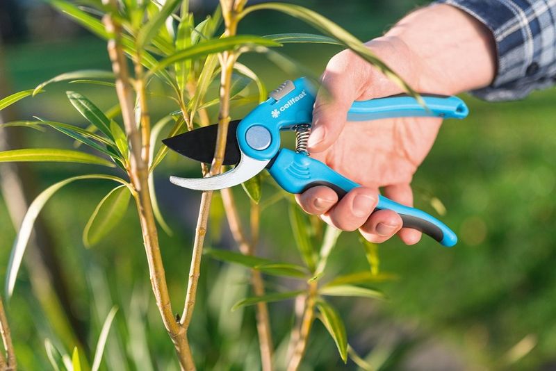 SEKATOR NOŻYCOWY PROSTY IDEAL - C 40-414 zdjęcie 3