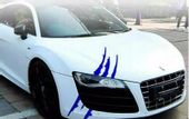 Nalepa auto pazurek pojazd Monster Bestia blizna
