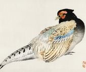 Plakat 60x50cm Peregrine Falcon, Kōno Bairei Japoński Vintage do Salonu