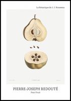 Plakat 70x100cm Design Pear Fruit, Redoute Vintage do Salonu