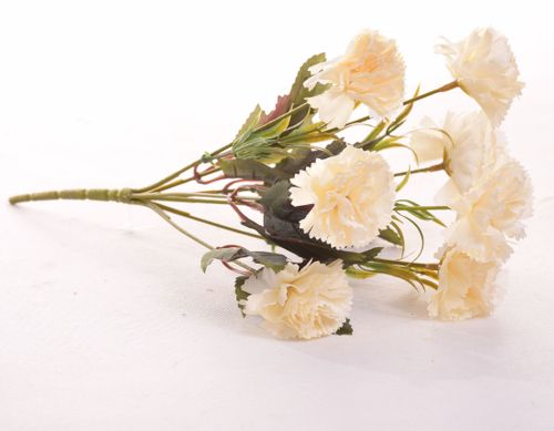 Goździk bukiet krem na Arena.pl