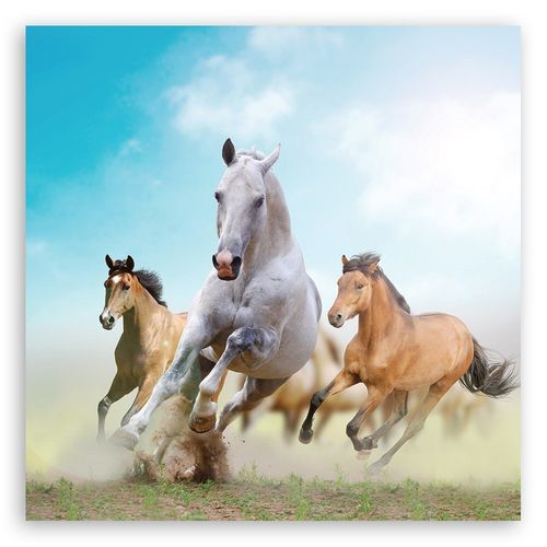 Emaga Obraz na płótnie, Galopujące konie - 30x30 na Arena.pl