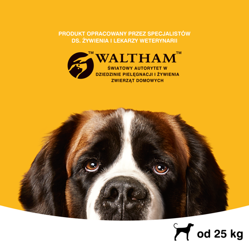 Pedigree Jumbone Large (Maxi) 210g na Arena.pl