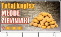 BANER REKLAMOWY oczkowany 100x50cm projekt w cenie SPRZEDAŻ MŁODE ZIEMNIAKI