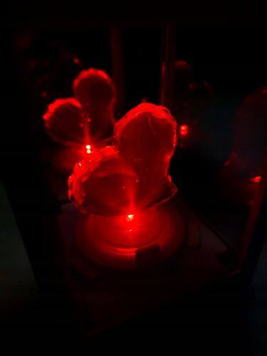 LATARENKA LED LAMPION ZNICZ SERCE NA BATERIE DEKORACYJNA BIAŁA WKŁAD KOLORY na Arena.pl