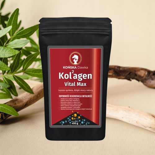 Kolagen Rybi z Colostrum Vital MAX- Kolagen Końska Dawka w Proszku 450g na Arena.pl