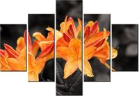 70 100CM OBRAZ 5 ELEM SOCZYSTA AZALIA DRUK PŁÓTNO