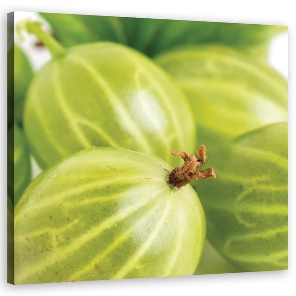 Emaga Obraz na płótnie, Agrest makro - 40x40 zdjęcie 1