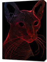 Obraz 50x70cm Cyfrowa Kocica