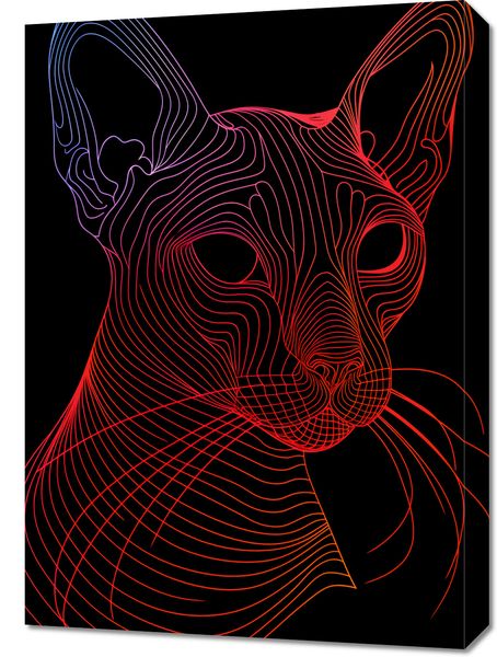 Obraz 50x70cm Cyfrowa Kocica zdjęcie 1