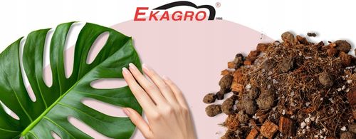 10L Bio Bigos Lekkie Uniwersalne Podłoże Ziemia do Kwiatów Monstery na Arena.pl