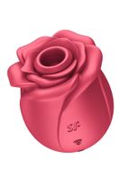 pro 2 classic rose