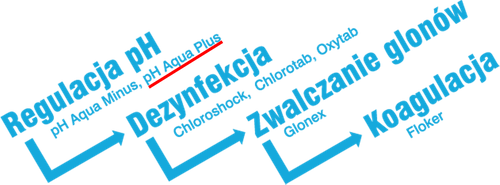 Preparat do basenu AQUA pH PLUS na Arena.pl