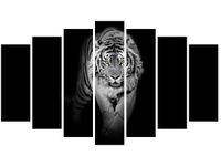 OBRAZ TIGER IN THE DARK
