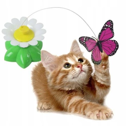 Zabawka dla kota MOTYLEK Ruchoma INTERAKTYWNA na Arena.pl