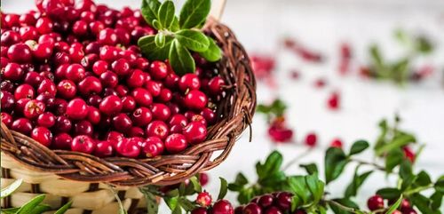 BESTLAB BestForKids DLA DZIECI NA ODPORNOŚĆ WITAMINY 30 + GRATIS na Arena.pl