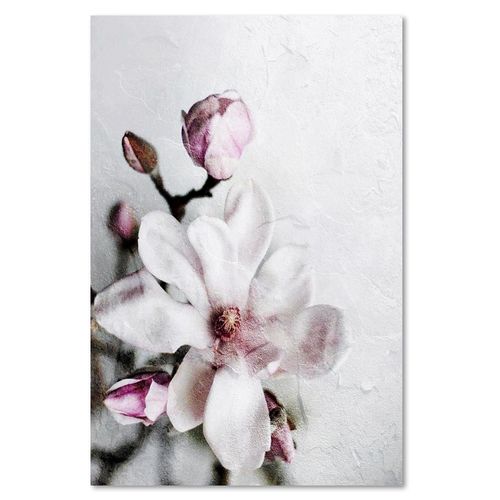 Deco Panel, Kwiat magnolii 40x60 na Arena.pl
