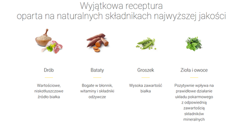 josera daily cat 2kg na Arena.pl