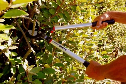 sekator do gałęzi 800mm Bahco P280-SL-80 na Arena.pl