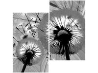 product-compare-58657123